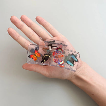 Chunks Box Claw in Butterfly