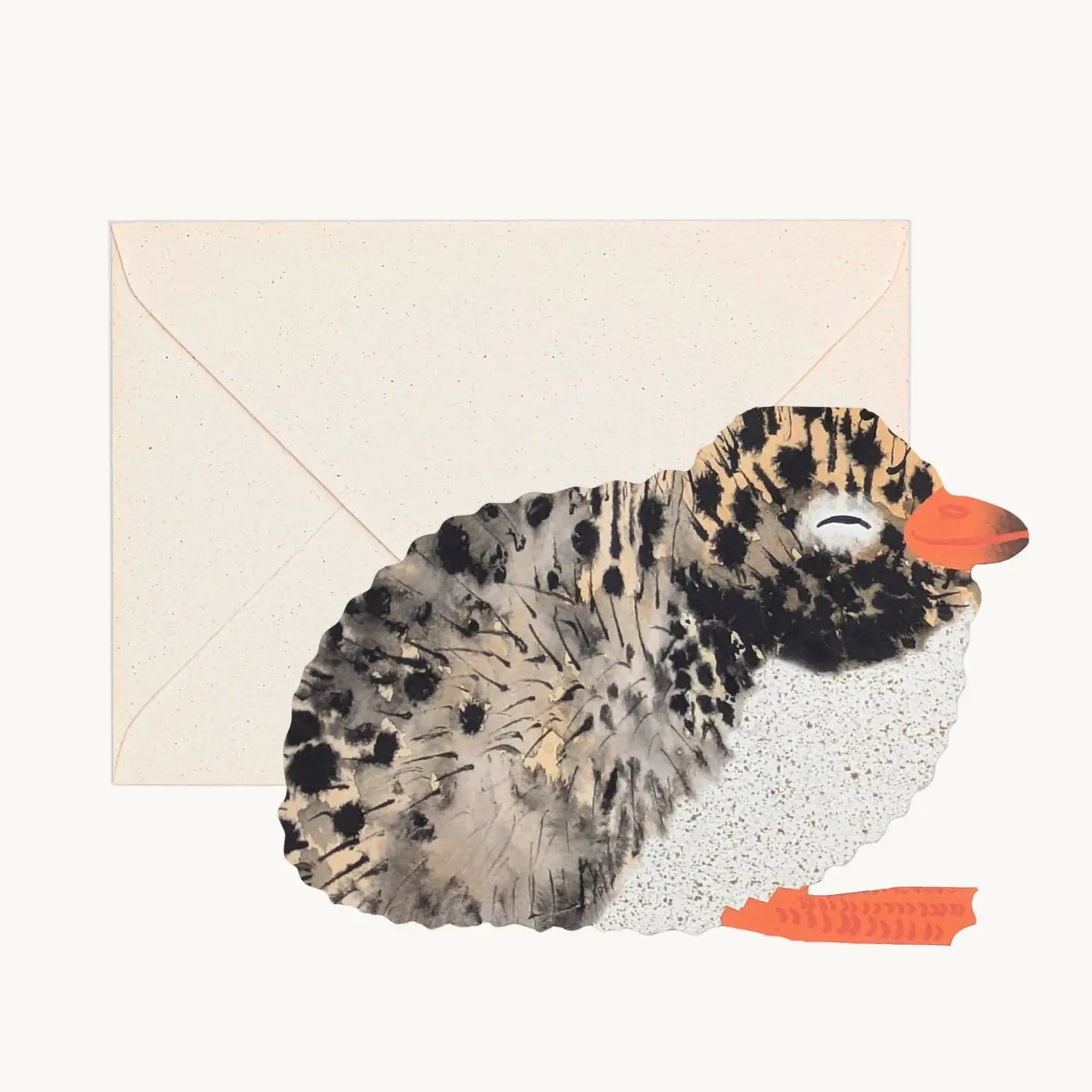Arctic Tern Chick Card