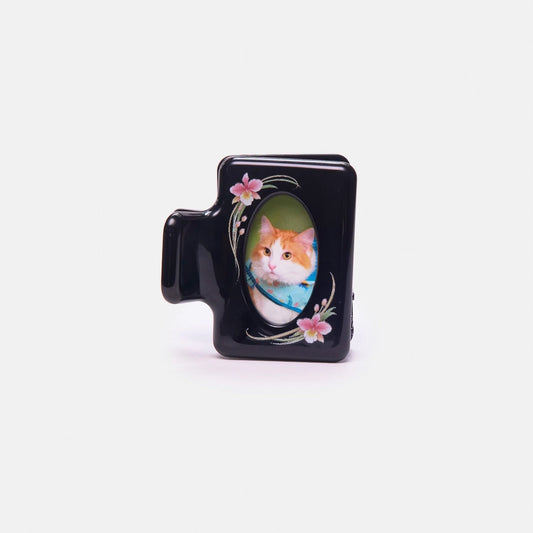 Chunks Midi Box Claw in Vintage Frame - Nouveau Lily