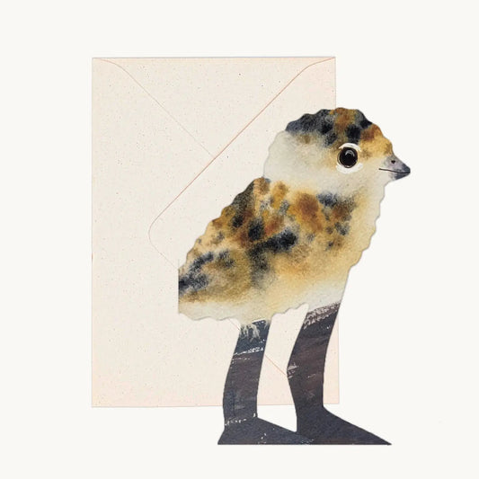 Lapwing Chick Card