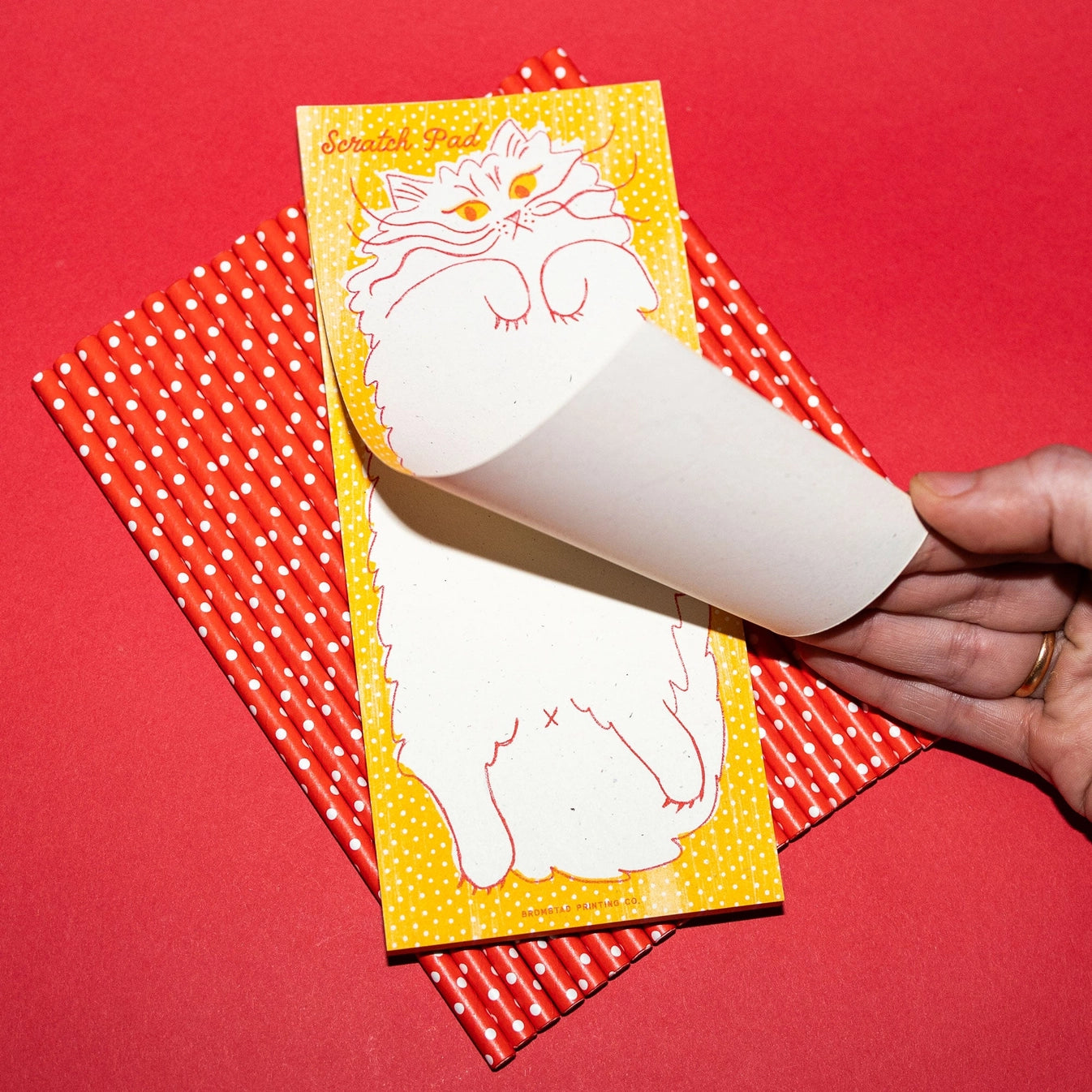Risograph Notepad - Scratch Pad Cat