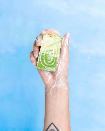 Tarta Gelatina Soap - Aloe Vera