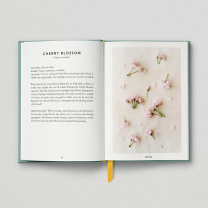 Hoxton Mini Press The Urban Forager